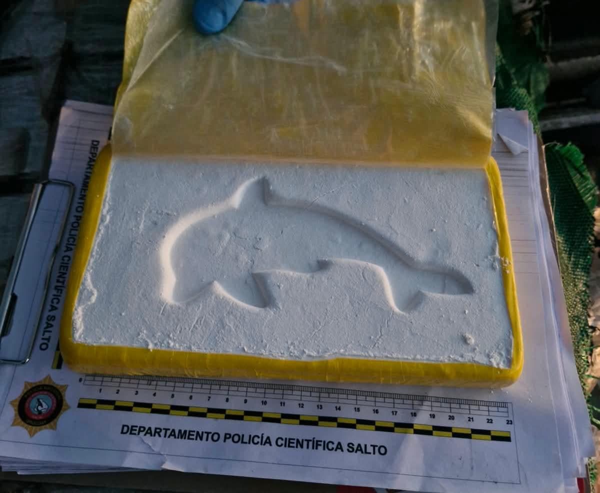 Aterriza un envío aéreo con 408 kilos de cocaína en el norte de Uruguay