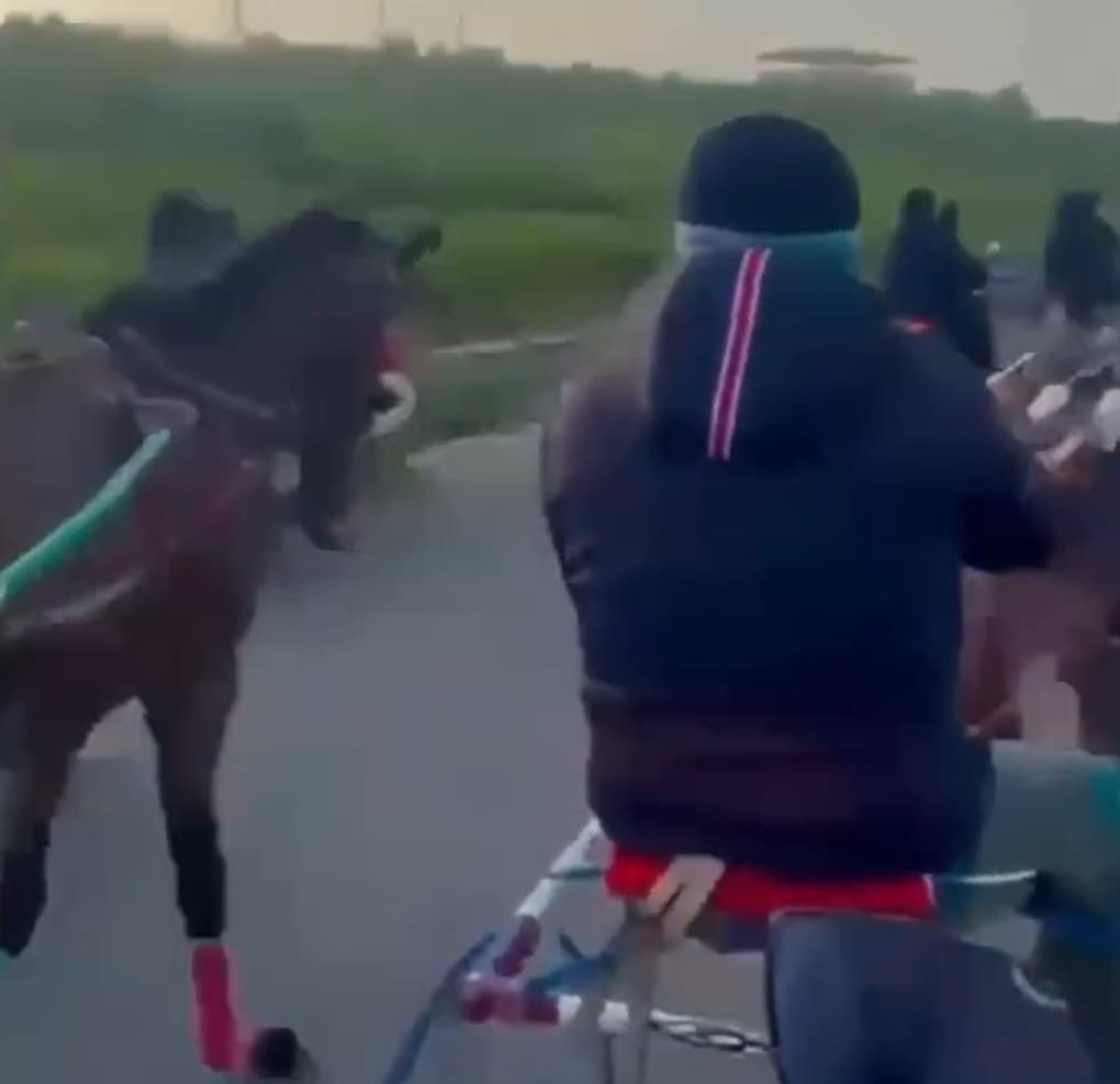 La Mafia organiza competencias de caballos clandestinas custodiadas con Kalashnikov en Sicilia.