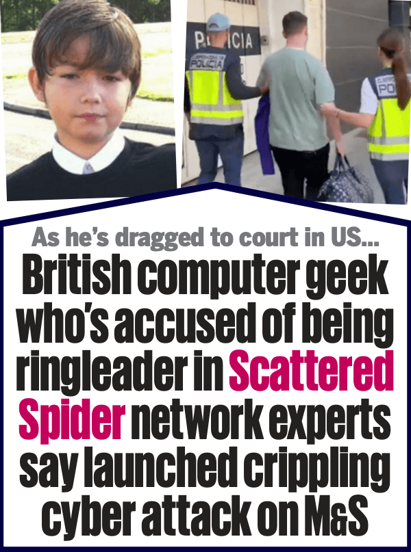 Miembro de 'Scattered Spider' 'Tylerb' se declara culpable
