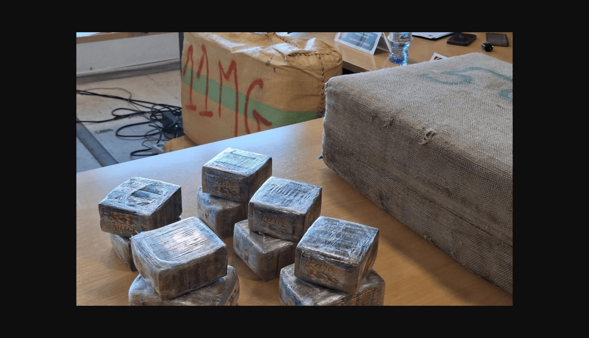 Desmantelan una organización familiar que transportaba toneladas de drogas desde El Ejido