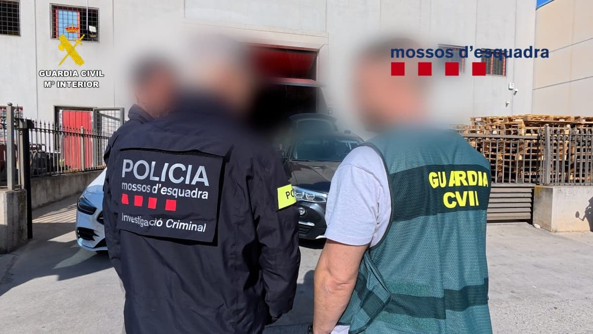 Desmantelan la red que proporcionaba apoyo logístico a la Mafia Albanesa del cannabis.