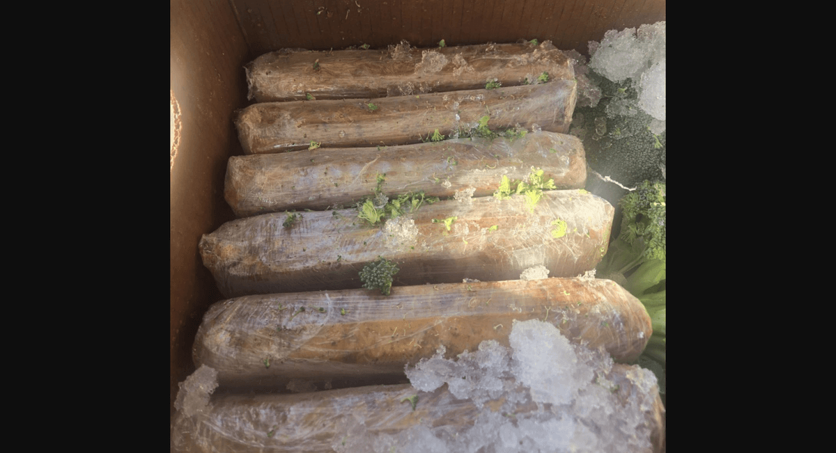 Un envío de brócoli escondía 157 kilos de cocaína en Texas