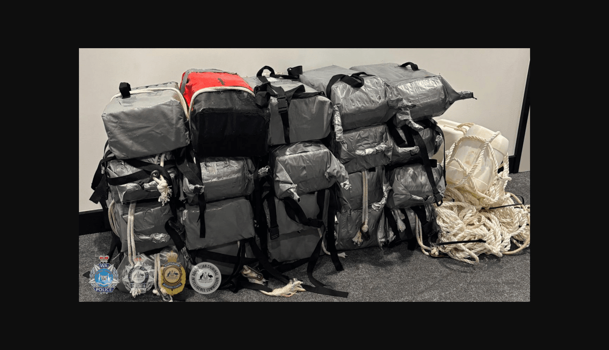 Desmantelan un ‘negocio de estupefacientes’ en la dark web y Telegram