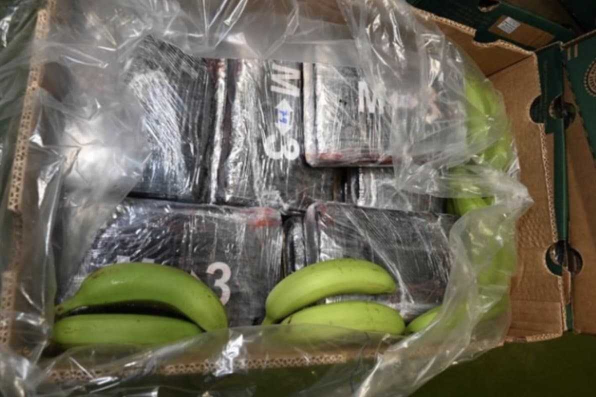 Tres mil kilogramos de cocaína escondidos entre bananos llegados de Sudamérica.