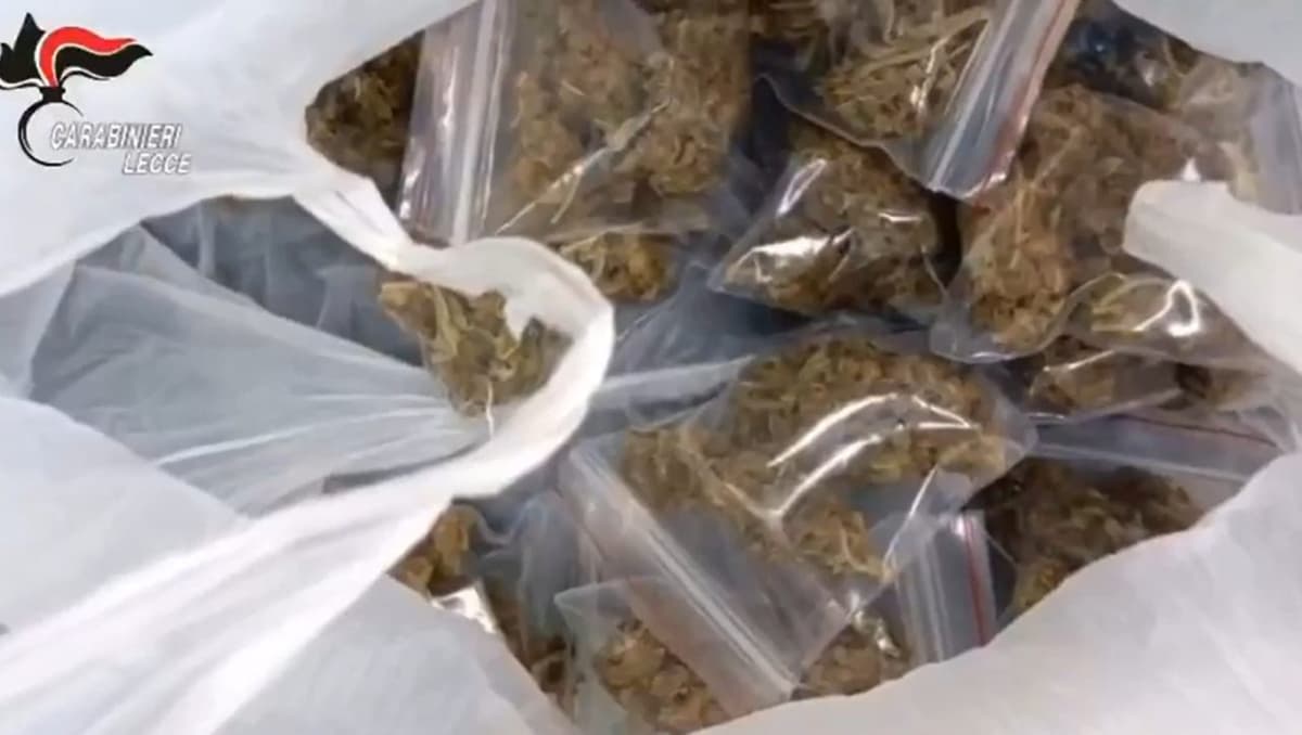 La Sacra Corona Unitá une la Mafia tradicional con el tráfico de drogas.