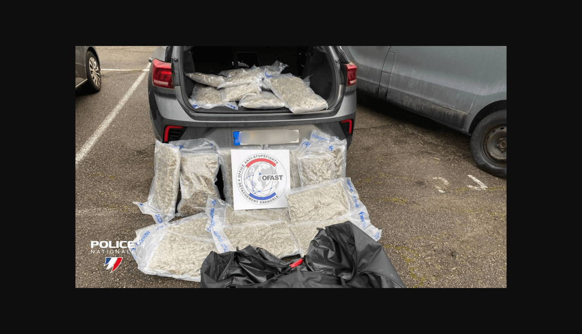 Aprehenden 150 kilos de cannabis en un vehículo que arribó de España a Grenoble