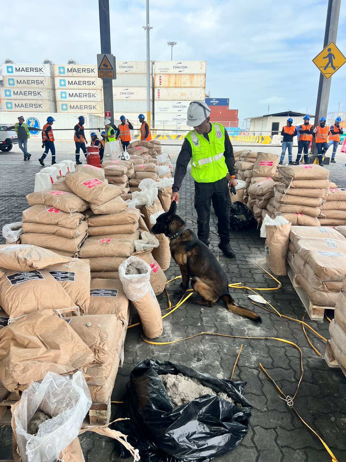 Doble confiscación de cocaína en contenedores dirigidos a Alemania y Turquía