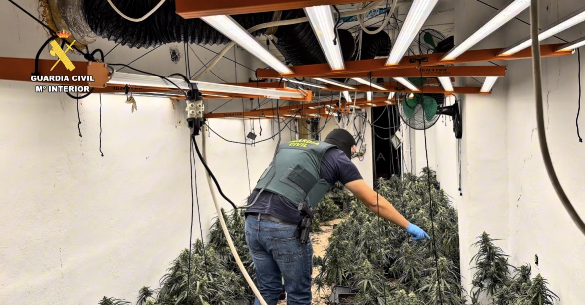 Importante acción contra las organizaciones de marihuana en Granada