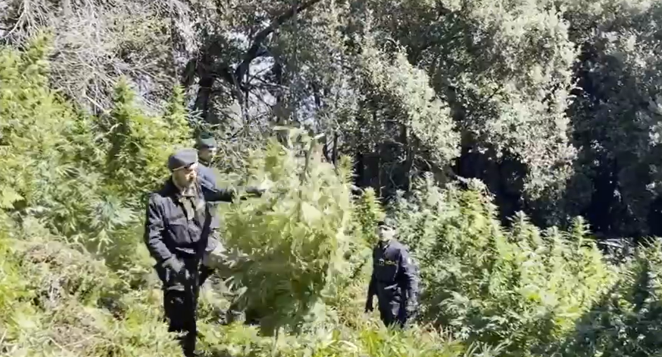 La Guardia di Finanza destruye 19 plantaciones de cannabis en el sur de Italia